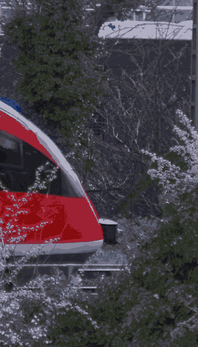 There should be a train video here :'(