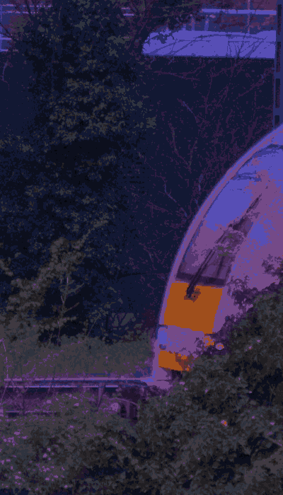 There should be a train video here :'(