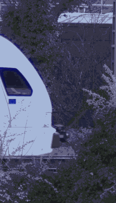 There should be a train video here :'(