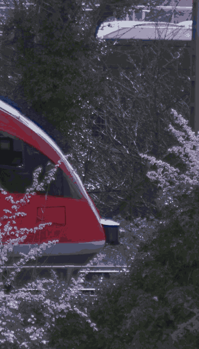 There should be a train video here :'(