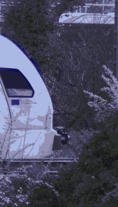 There should be a train video here :'(