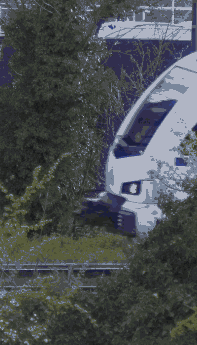 There should be a train video here :'(