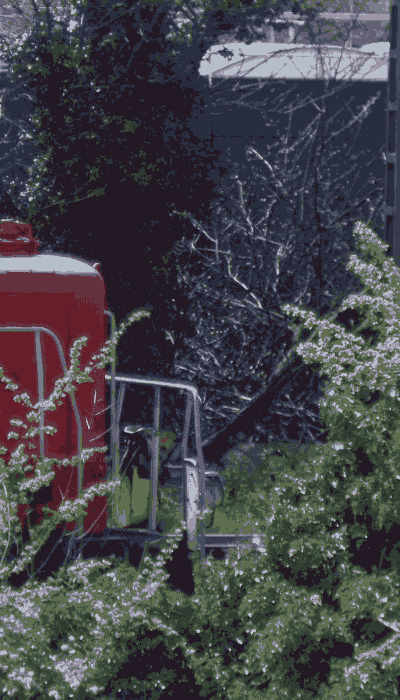 There should be a train video here :'(