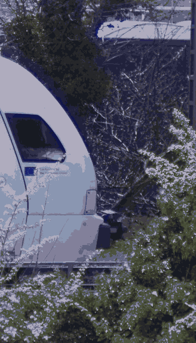 There should be a train video here :'(