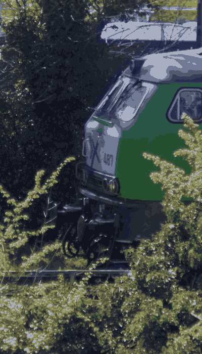 There should be a train video here :'(