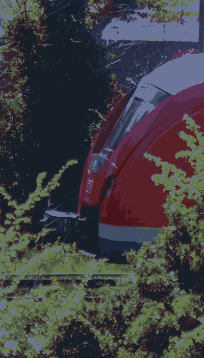 There should be a train video here :'(