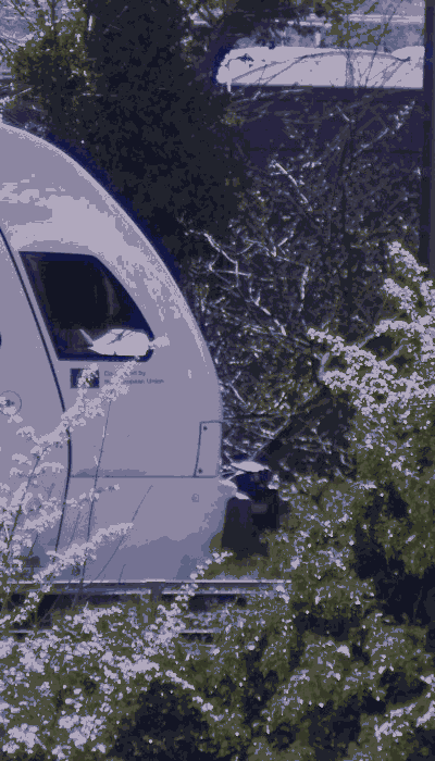 There should be a train video here :'(