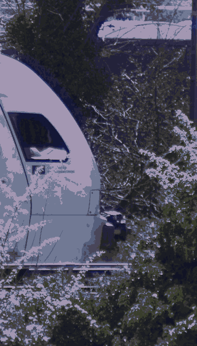 There should be a train video here :'(