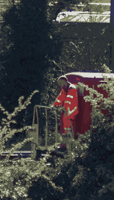 There should be a train video here :'(