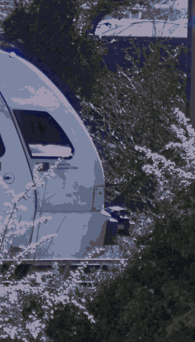 There should be a train video here :'(