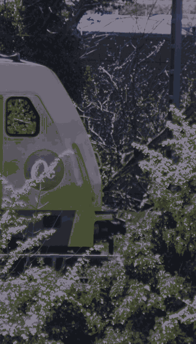 There should be a train video here :'(
