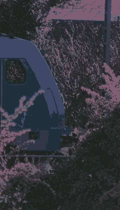 There should be a train video here :'(