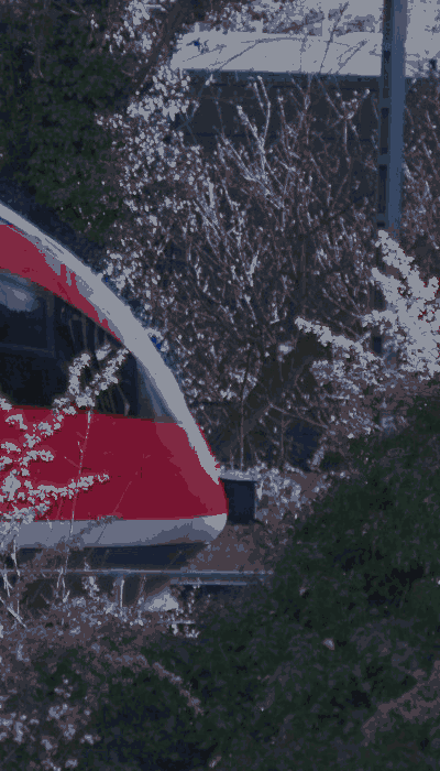 There should be a train video here :'(