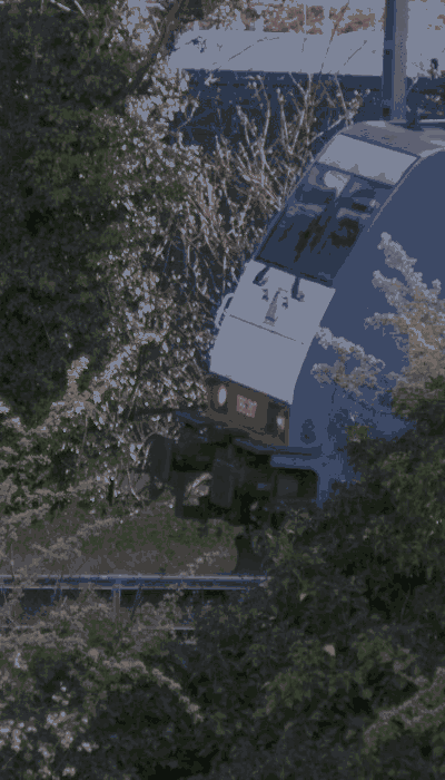 There should be a train video here :'(