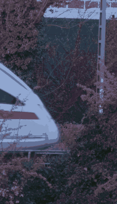 There should be a train video here :'(