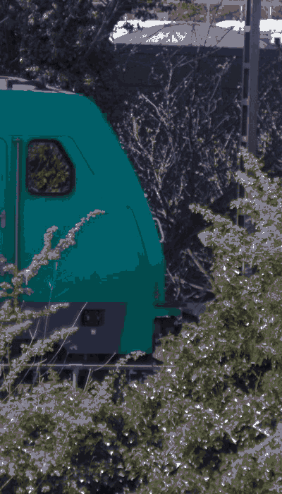 There should be a train video here :'(