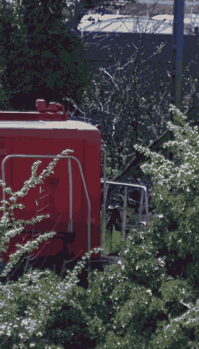 There should be a train video here :'(