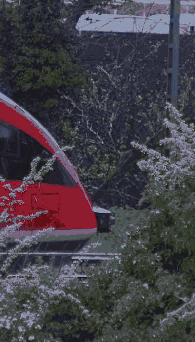 There should be a train video here :'(