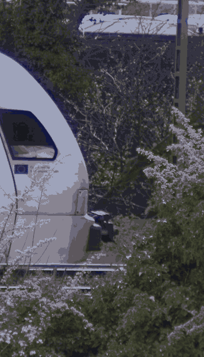 There should be a train video here :'(