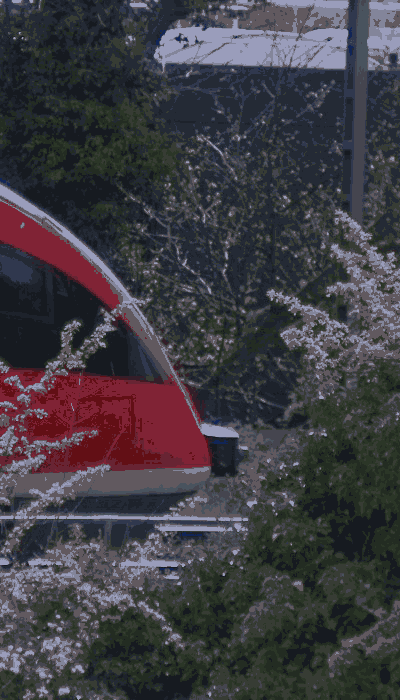 There should be a train video here :'(