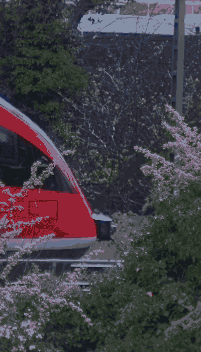 There should be a train video here :'(