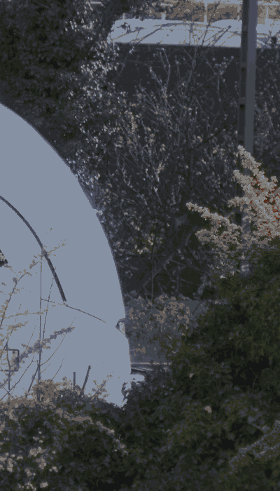 There should be a train video here :'(