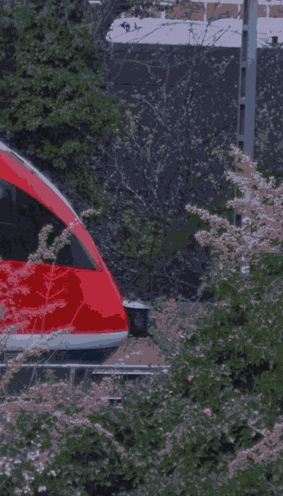 There should be a train video here :'(