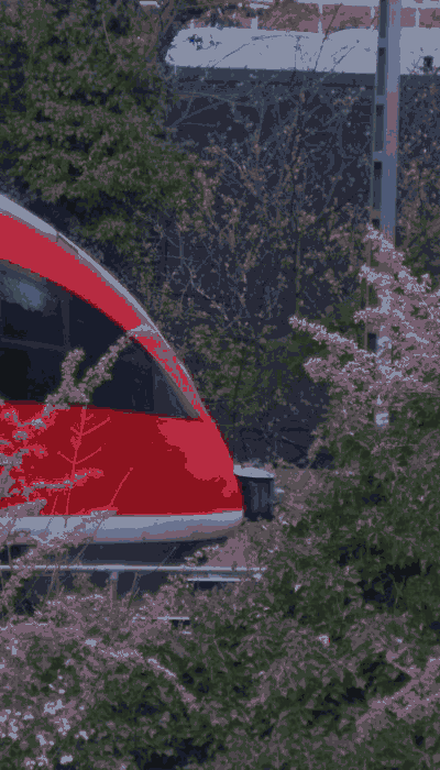 There should be a train video here :'(