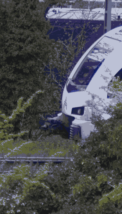 There should be a train video here :'(