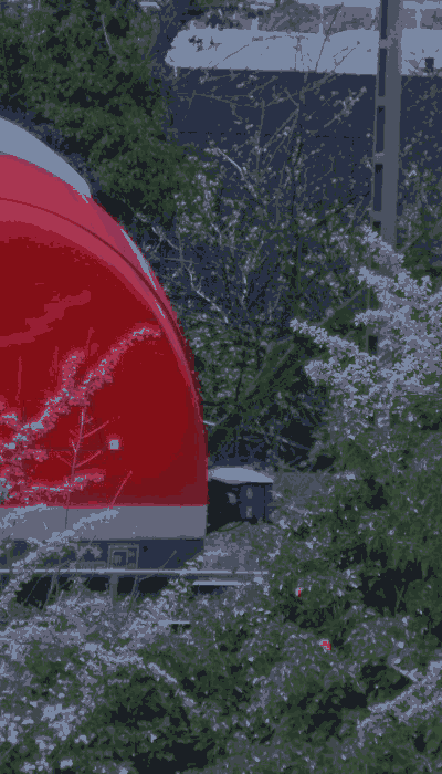 There should be a train video here :'(