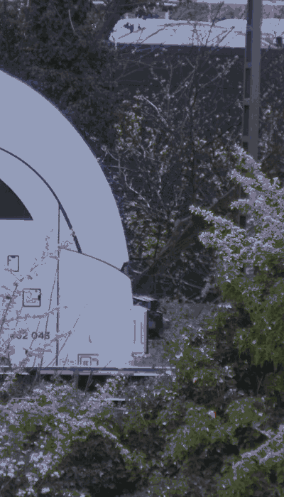 There should be a train video here :'(