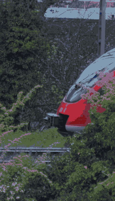 There should be a train video here :'(