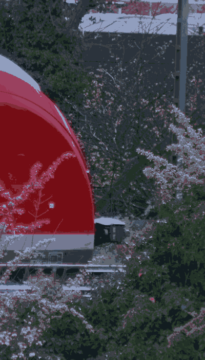 There should be a train video here :'(