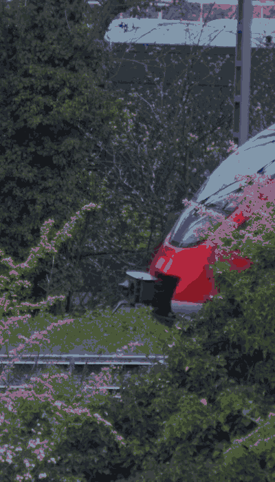 There should be a train video here :'(