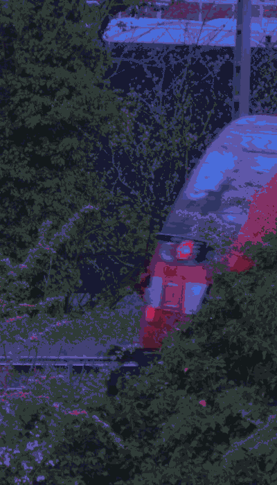 There should be a train video here :'(