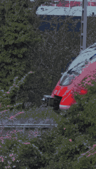 There should be a train video here :'(