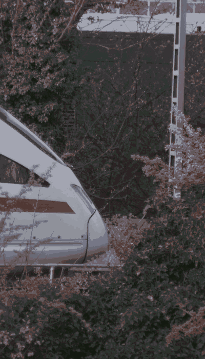 There should be a train video here :'(