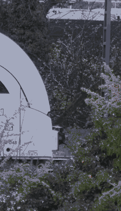 There should be a train video here :'(