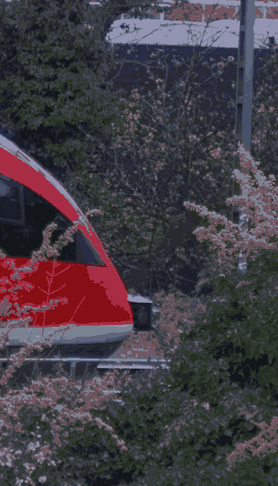 There should be a train video here :'(