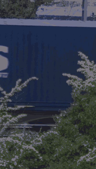 There should be a train video here :'(