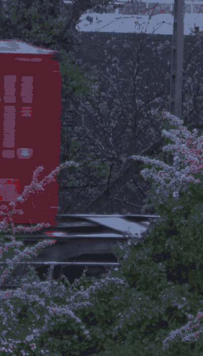 There should be a train video here :'(