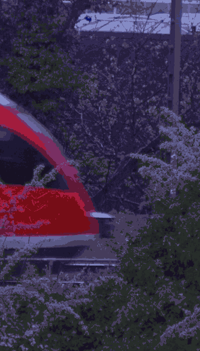 There should be a train video here :'(