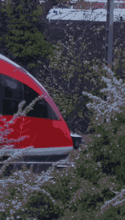 There should be a train video here :'(