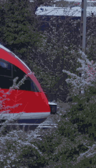 There should be a train video here :'(