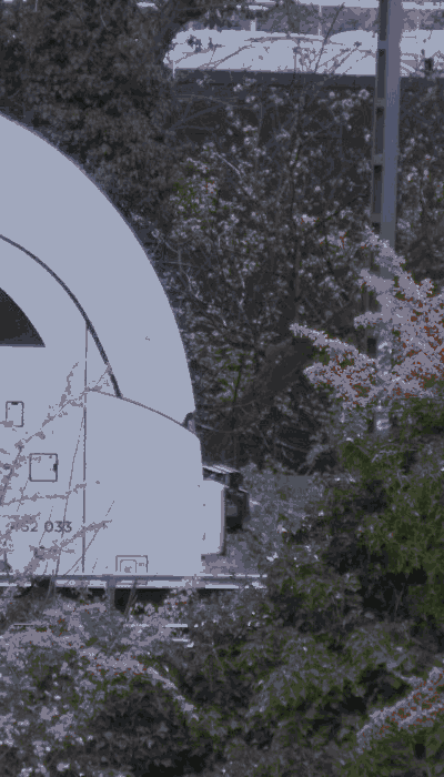 There should be a train video here :'(