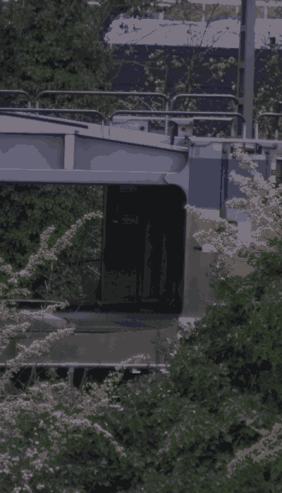 There should be a train video here :'(