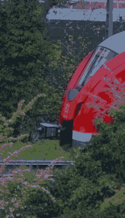 There should be a train video here :'(