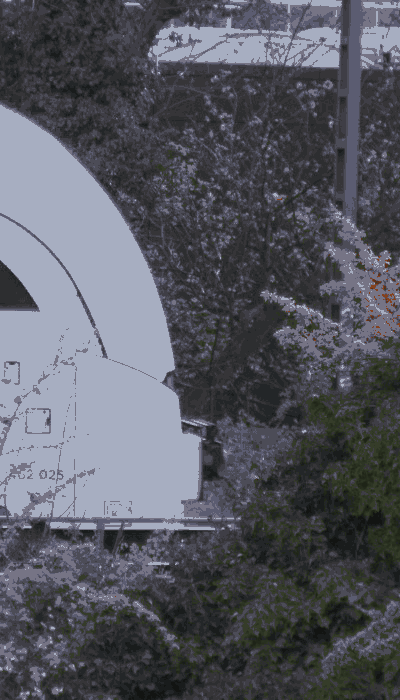 There should be a train video here :'(