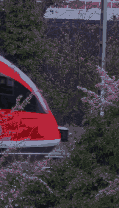 There should be a train video here :'(