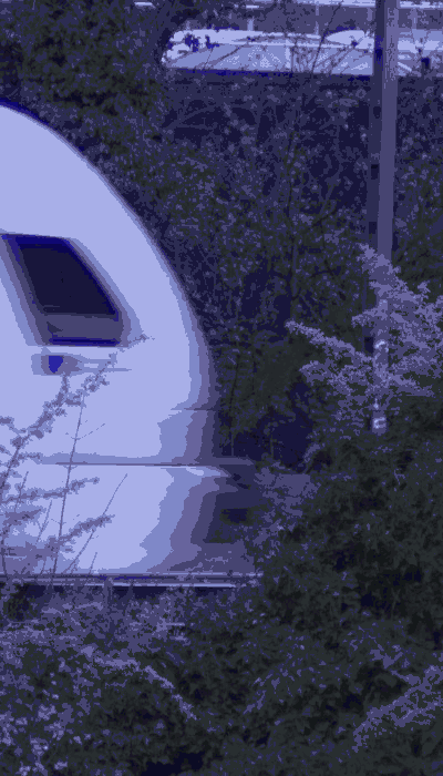 There should be a train video here :'(